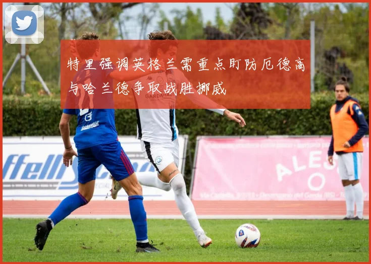 特里强调英格兰需重点盯防厄德高与哈兰德争取战胜挪威